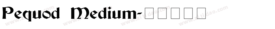 Pequod Medium字体转换